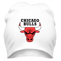 Шапка Chicago bulls logo