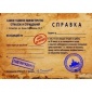 Комплект справок Опоздал на работу из за засады