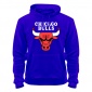 СВИТШОТ (изображение товара отличается от действительного) Chicago bulls logo S (44-46)