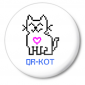 Значок средний QR -кот
